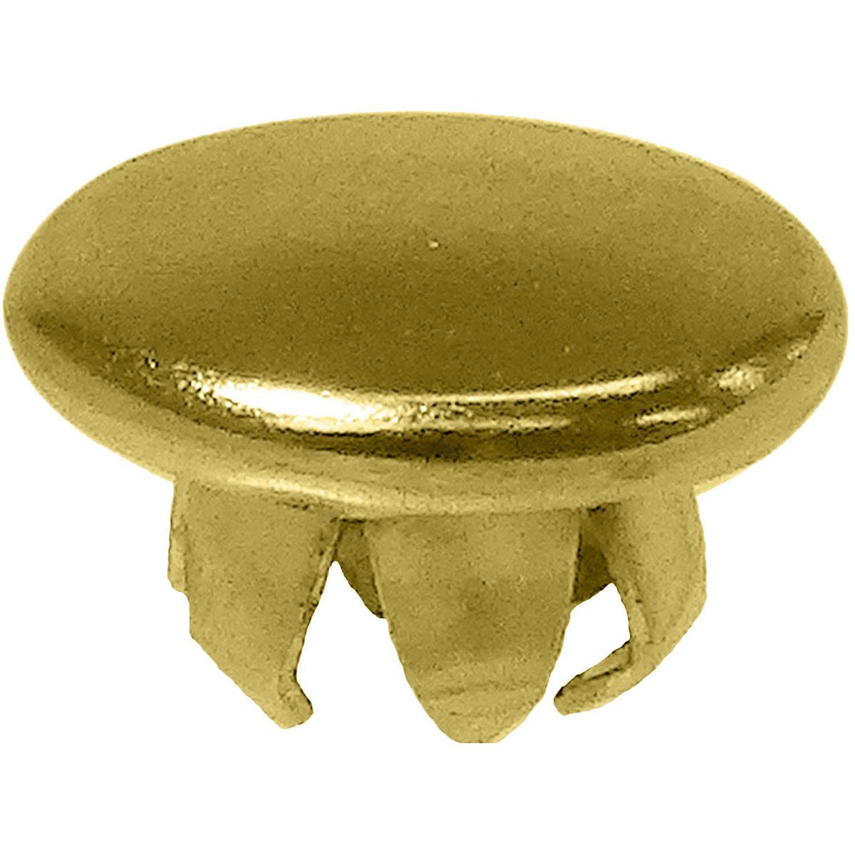 E L'S 155 Angle Plug Brass 12本分 500x500_72dpi